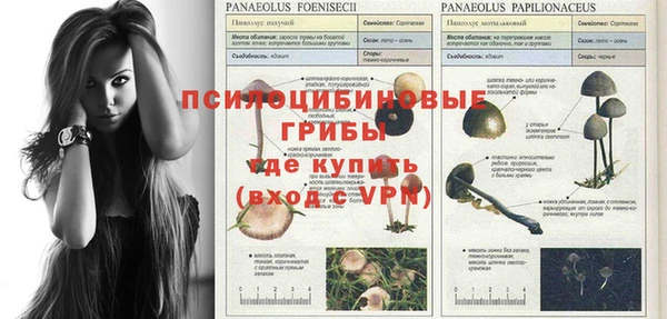 apvp Алексин