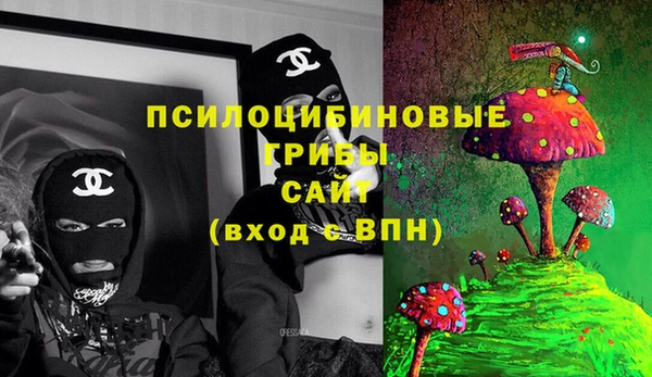 твердый Алзамай
