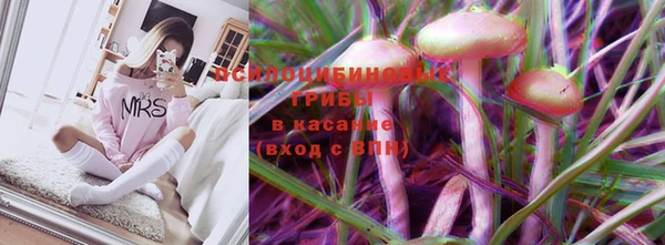 твердый Алзамай
